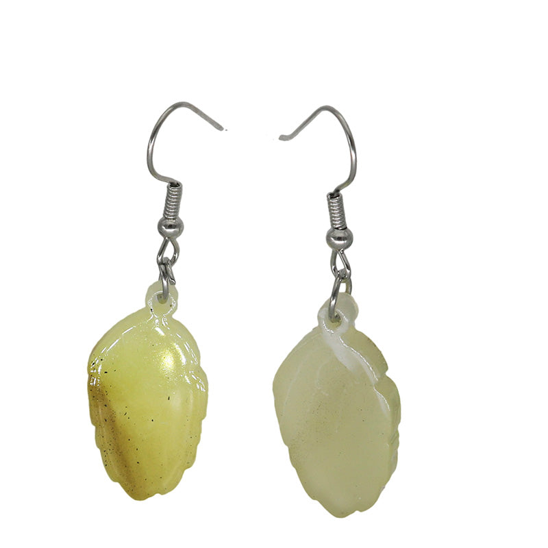 Multicolor Acrylic Earrings